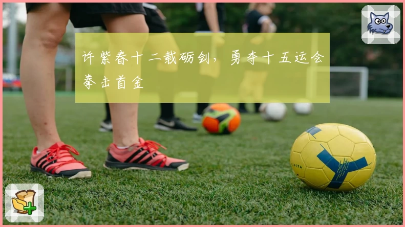 许紫春十二载砺剑,勇夺十五运会拳击首金