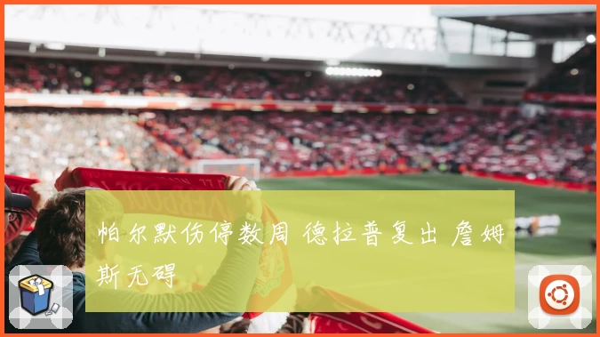 帕尔默伤停数周 德拉普复出 詹姆斯无碍