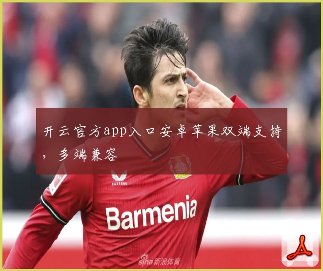 开云官方app入口安卓苹果双端支持，多端兼容