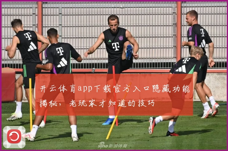 开云体育app下载官方入口隐藏功能揭秘，老玩家才知道的技巧